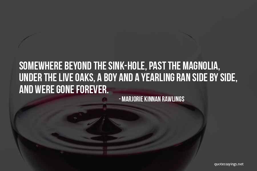 Funny Mafia Quotes By Marjorie Kinnan Rawlings Funny Mafia Quotes By Marjorie Kinnan Rawlings