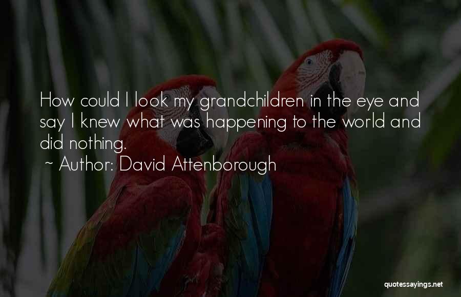 Funny Matching Clothes Quotes By David Attenborough