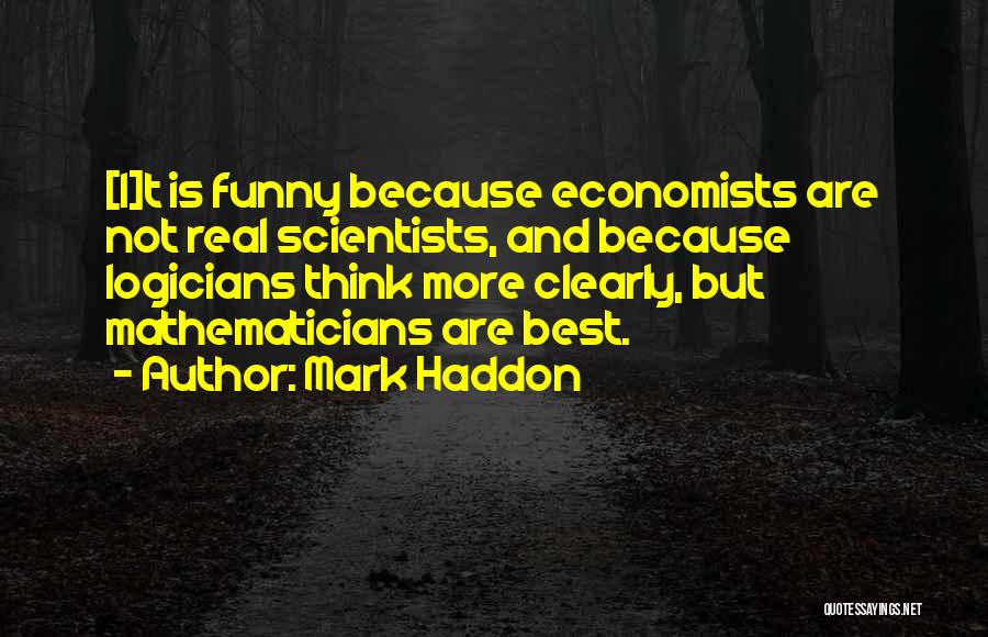 Funny Mathematicians Quotes By Mark Haddon
