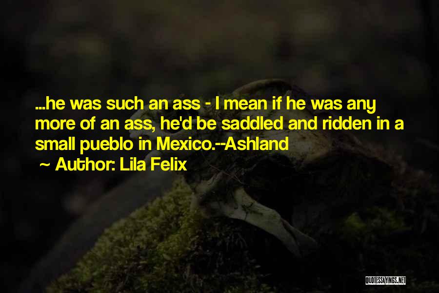 Funny Mean Quotes By Lila Felix