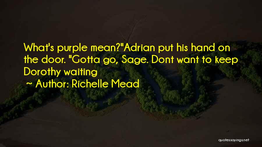 Funny Mean Quotes By Richelle Mead