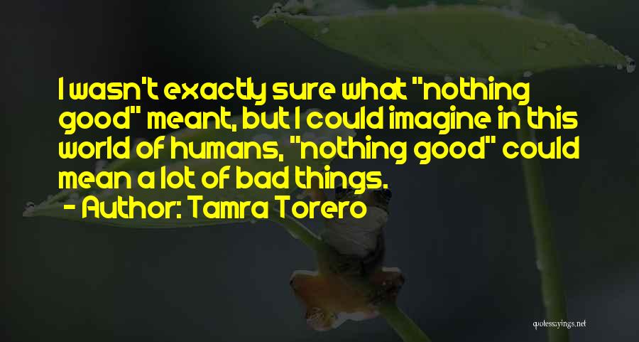 Funny Mean Quotes By Tamra Torero