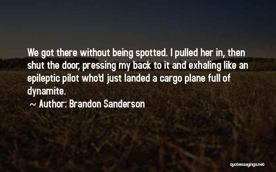 Funny Metaphors Quotes By Brandon Sanderson