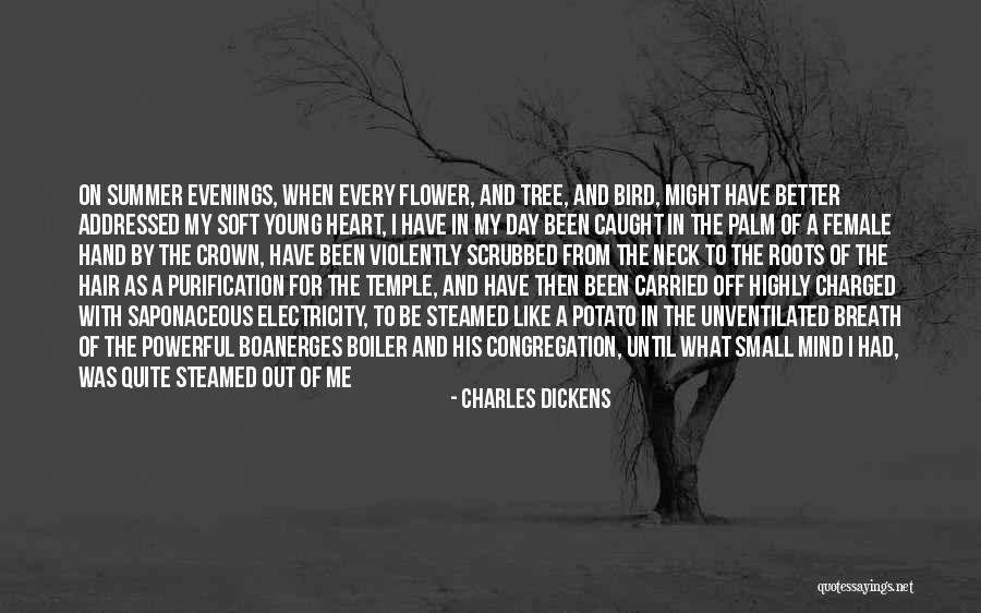 Funny Mind Quotes By Charles Dickens