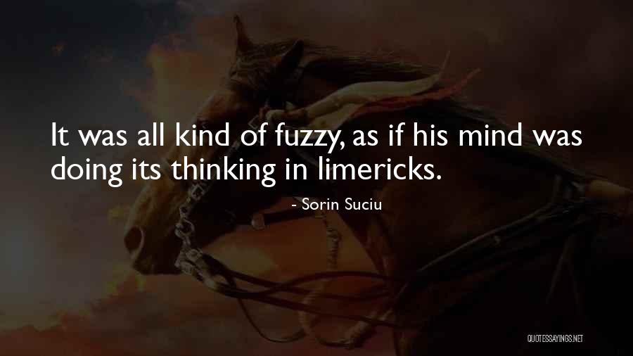 Funny Mind Quotes By Sorin Suciu