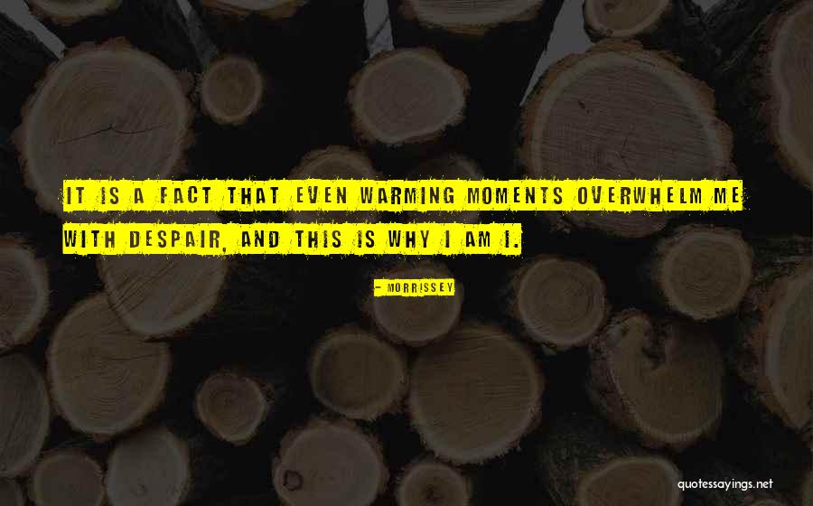 Funny Morrissey Quotes By Morrissey Funny Morrissey Quotes By Morrissey