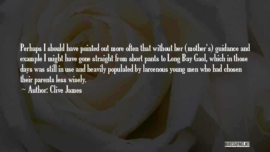 Funny Mother Quotes By Clive James