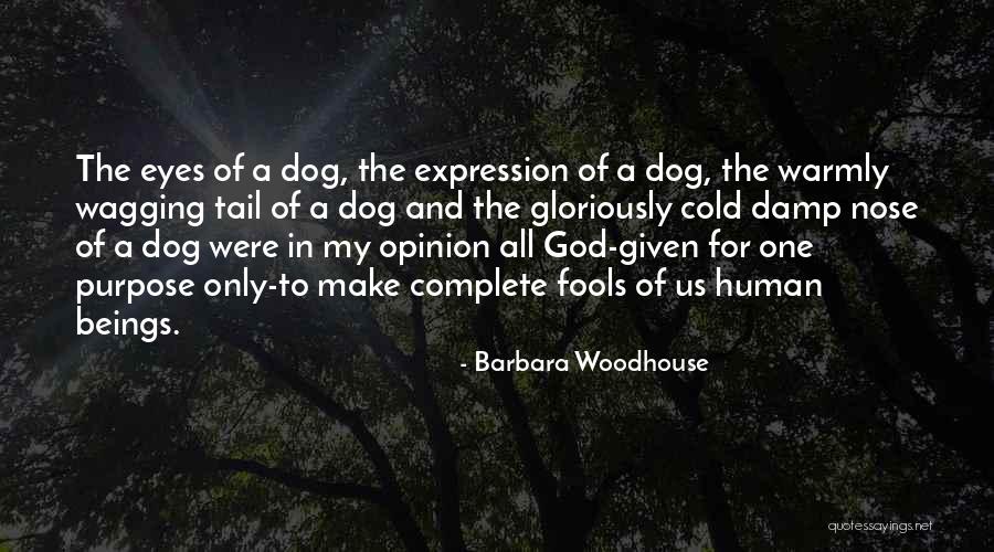 Funny My Dog Quotes By Barbara Woodhouse