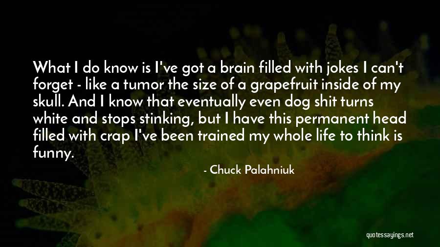 Funny My Dog Quotes By Chuck Palahniuk