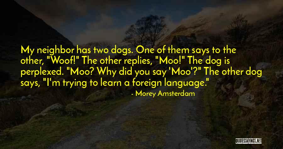 Funny My Dog Quotes By Morey Amsterdam Funny My Dog Quotes By Morey Amsterdam