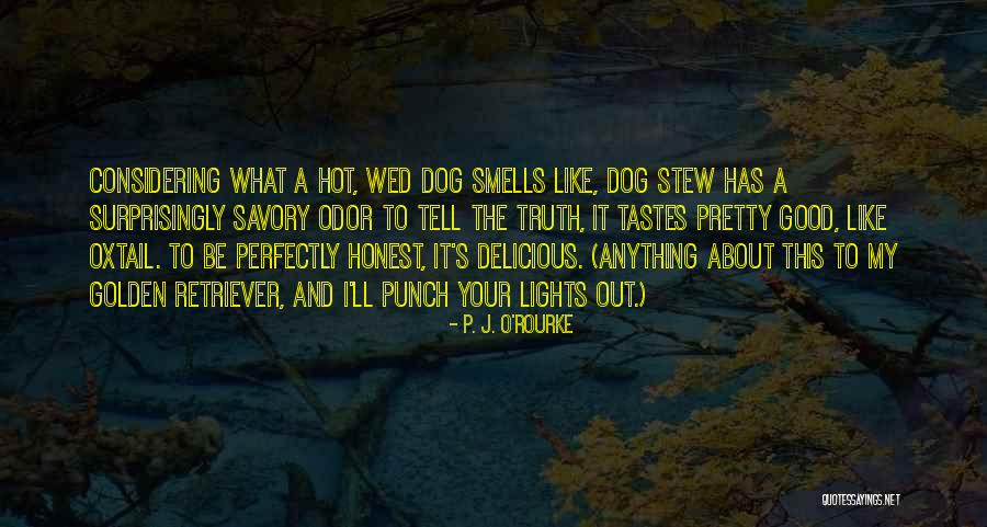Funny My Dog Quotes By P. J. O'Rourke Funny My Dog Quotes By P. J. O'Rourke