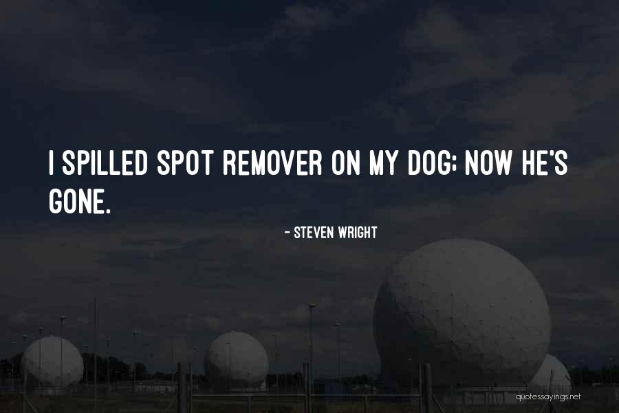 Funny My Dog Quotes By Steven Wright