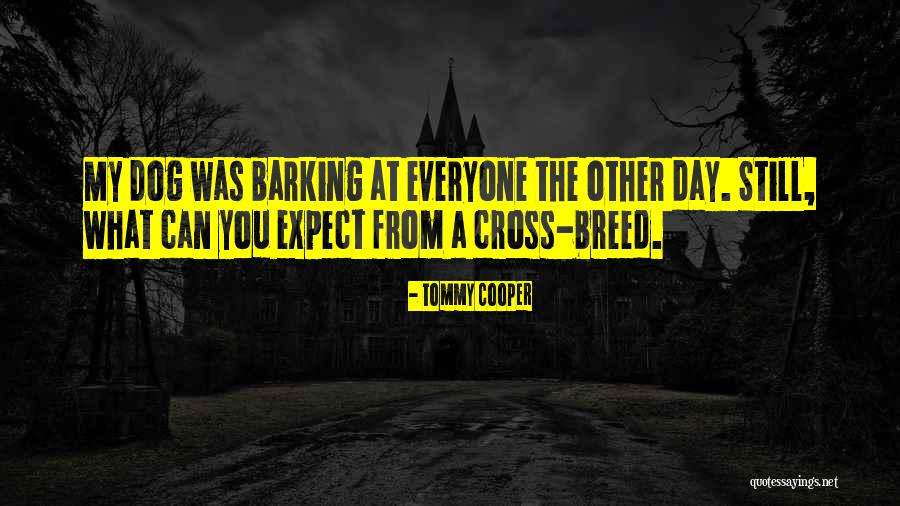 Funny My Dog Quotes By Tommy Cooper Funny My Dog Quotes By Tommy Cooper
