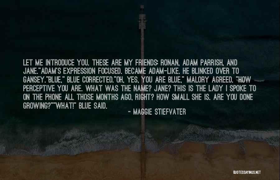 Funny My Name Is Quotes By Maggie Stiefvater Funny My Name Is Quotes By Maggie Stiefvater