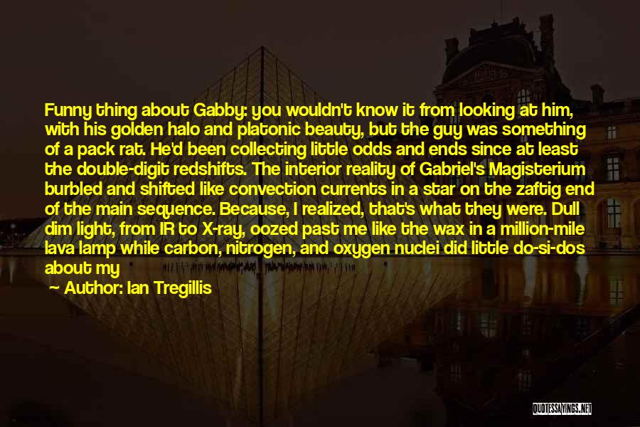 Funny New Me Quotes By Ian Tregillis