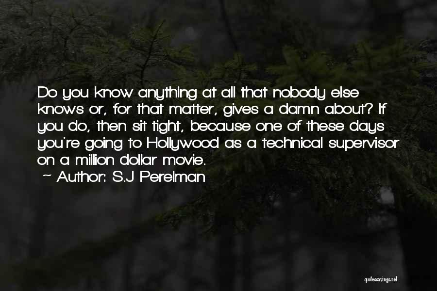 Funny Not Giving A Damn Quotes By S.J Perelman