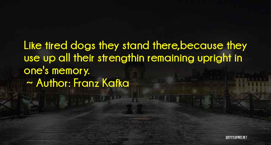 Funny Occupational Health And Safety Quotes By Franz Kafka