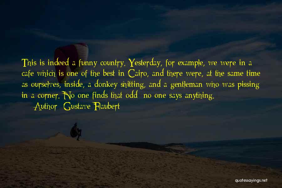 Funny Odd One Quotes By Gustave Flaubert