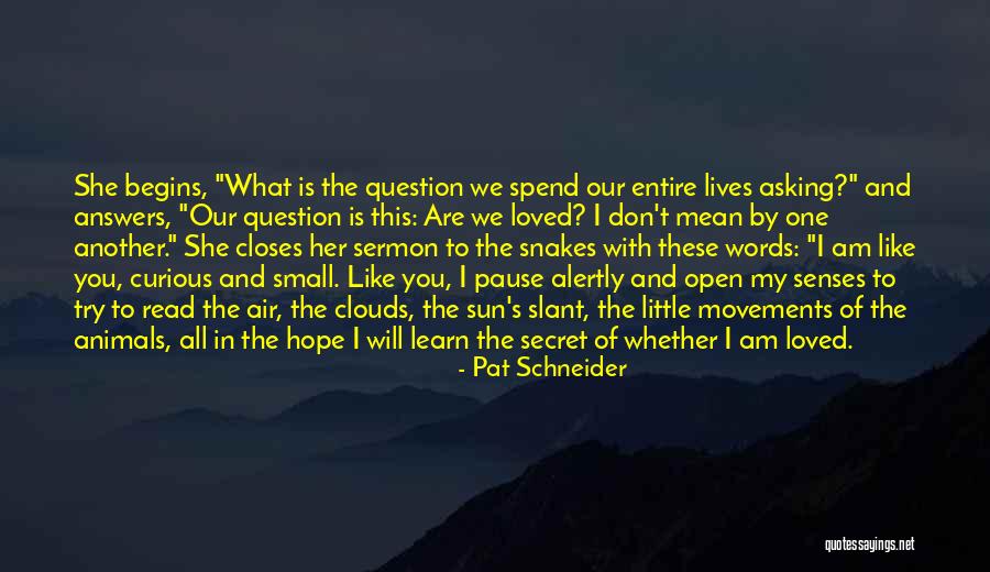 Funny Okami Quotes By Pat Schneider Funny Okami Quotes By Pat Schneider