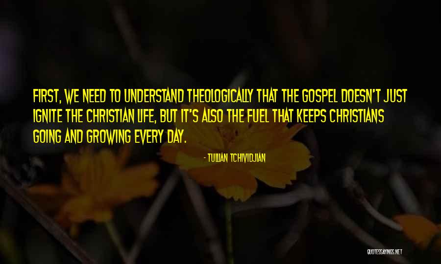 Funny Okami Quotes By Tullian Tchividjian Funny Okami Quotes By Tullian Tchividjian