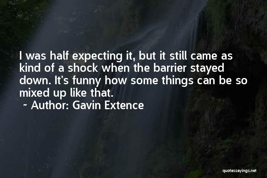 Funny Other Half Quotes By Gavin Extence