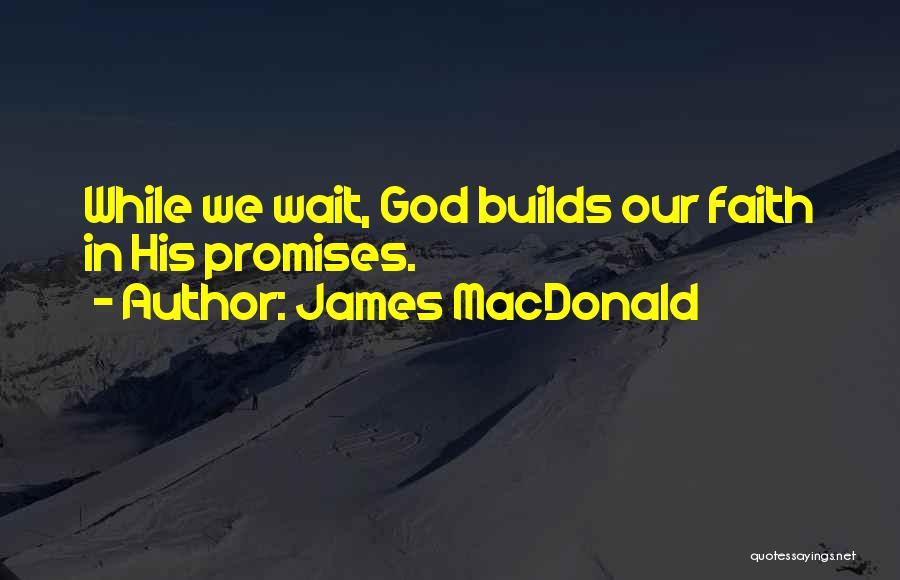 Funny Patchwork Quotes By James MacDonald