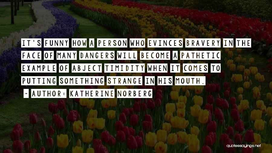 Funny Pathetic Quotes By Katherine Norberg