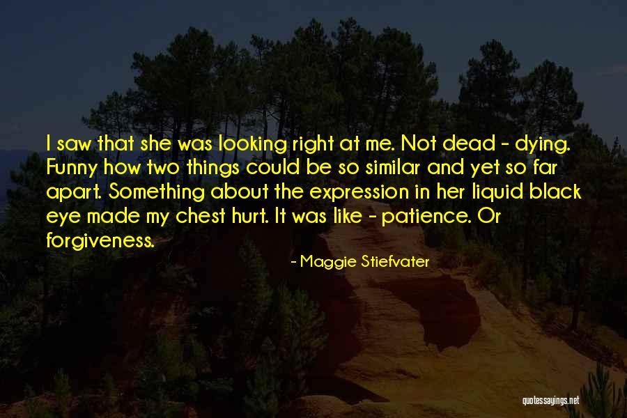 Funny Patience Quotes By Maggie Stiefvater