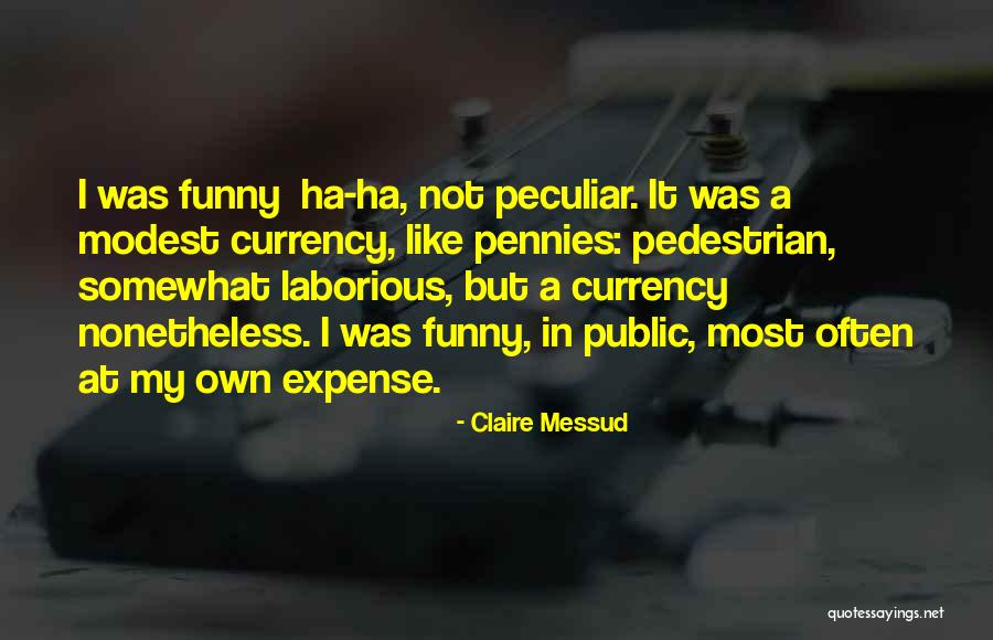 Funny Pedestrian Quotes By Claire Messud