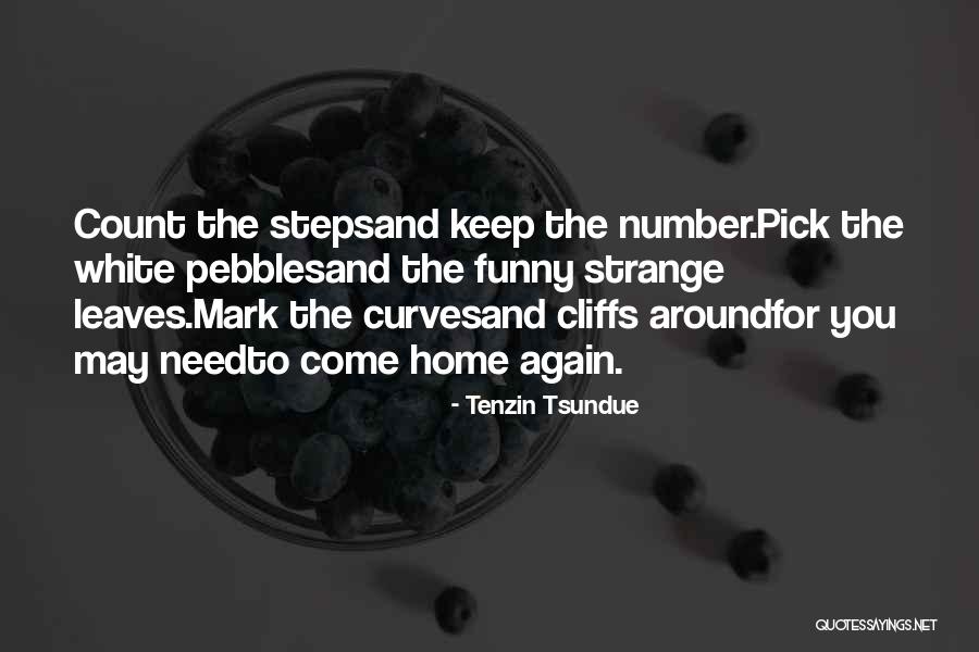 Funny Pick You Up Quotes By Tenzin Tsundue