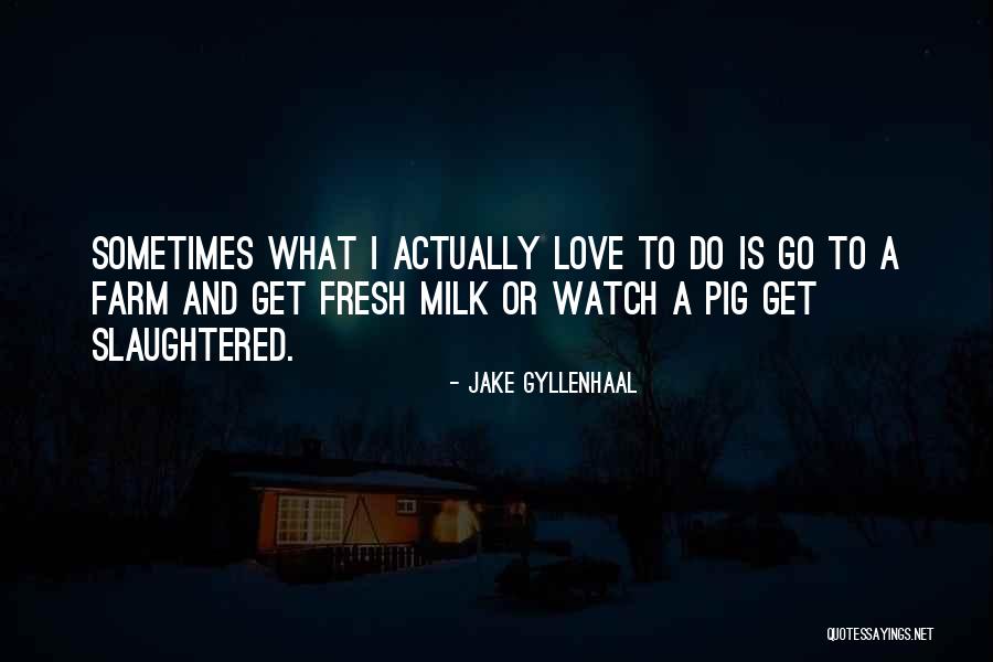 Funny Pig Quotes By Jake Gyllenhaal Funny Pig Quotes By Jake Gyllenhaal