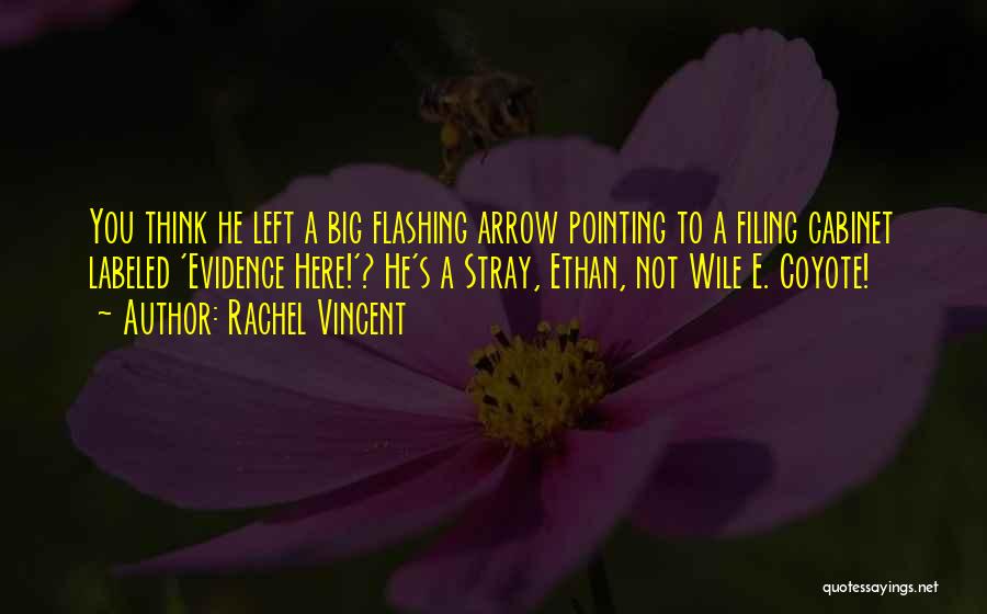 Funny Pointing Quotes By Rachel Vincent