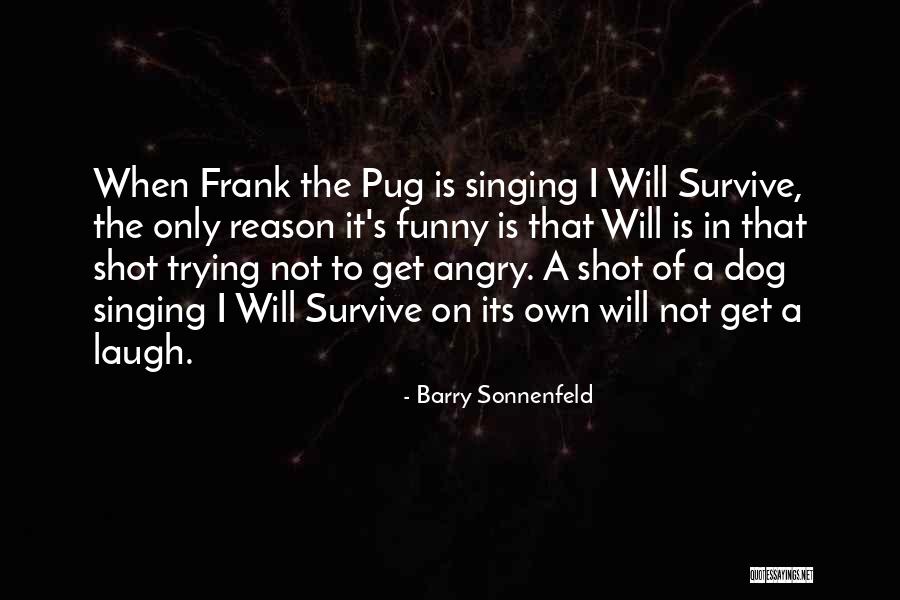 Funny Pug Quotes By Barry Sonnenfeld Funny Pug Quotes By Barry Sonnenfeld