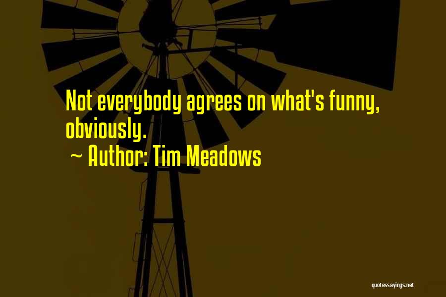 Funny Quotes By Tim Meadows