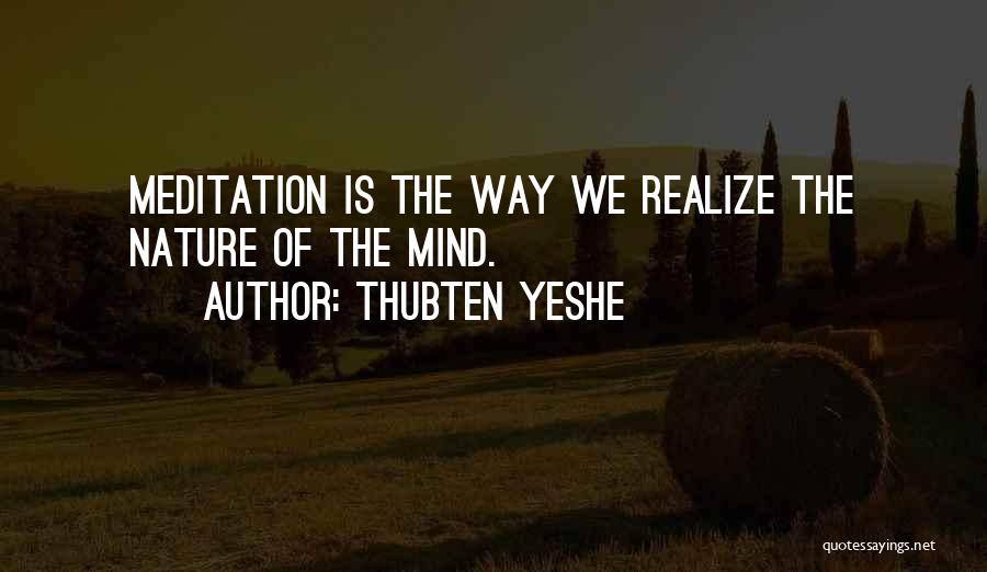 Funny Ratchet Hoes Quotes By Thubten Yeshe