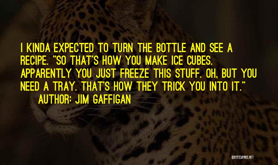 Funny Recipe Quotes By Jim Gaffigan