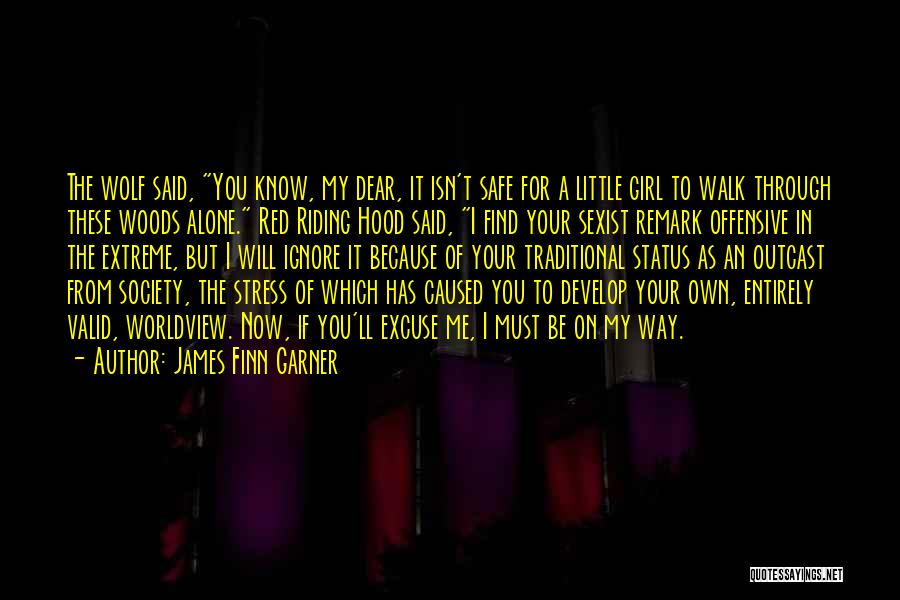 Funny Remark Quotes By James Finn Garner