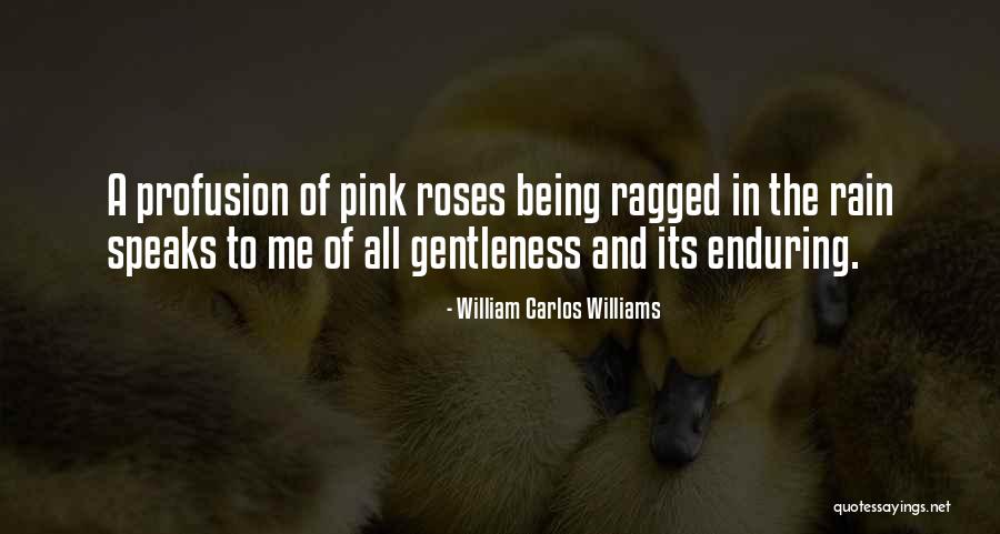Funny Retro Birthday Quotes By William Carlos Williams Funny Retro Birthday Quotes By William Carlos Williams