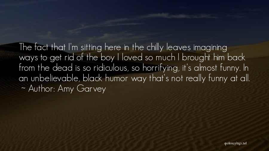 Funny Ridiculous Quotes By Amy Garvey