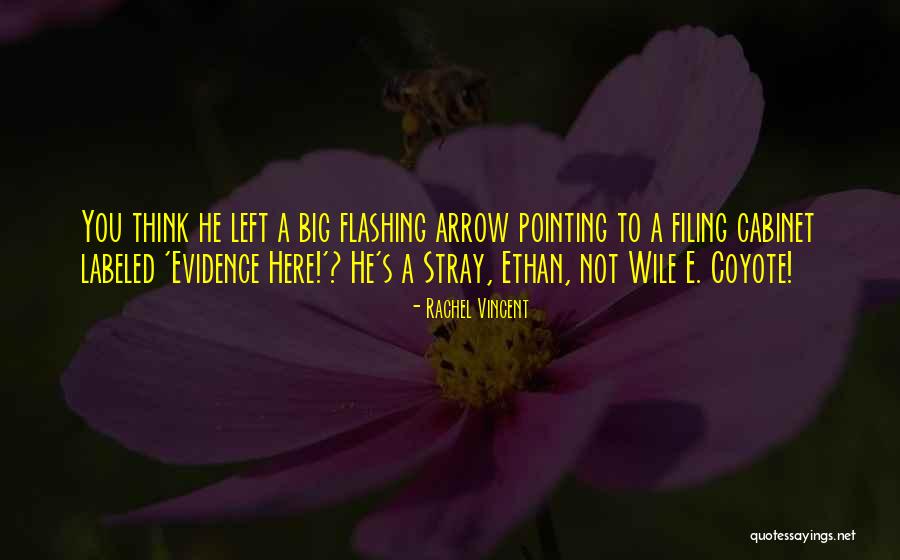 Funny Sarcastic Quotes By Rachel Vincent Funny Sarcastic Quotes By Rachel Vincent