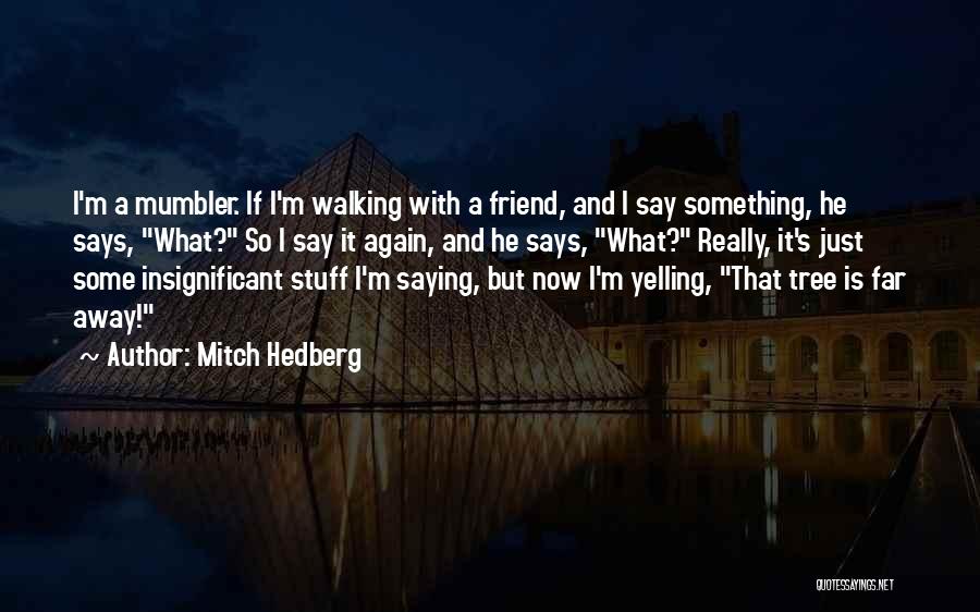 Funny Says And Quotes By Mitch Hedberg