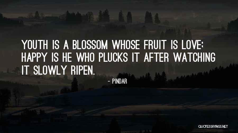 Funny Seven Psychopaths Quotes By Pindar Funny Seven Psychopaths Quotes By Pindar