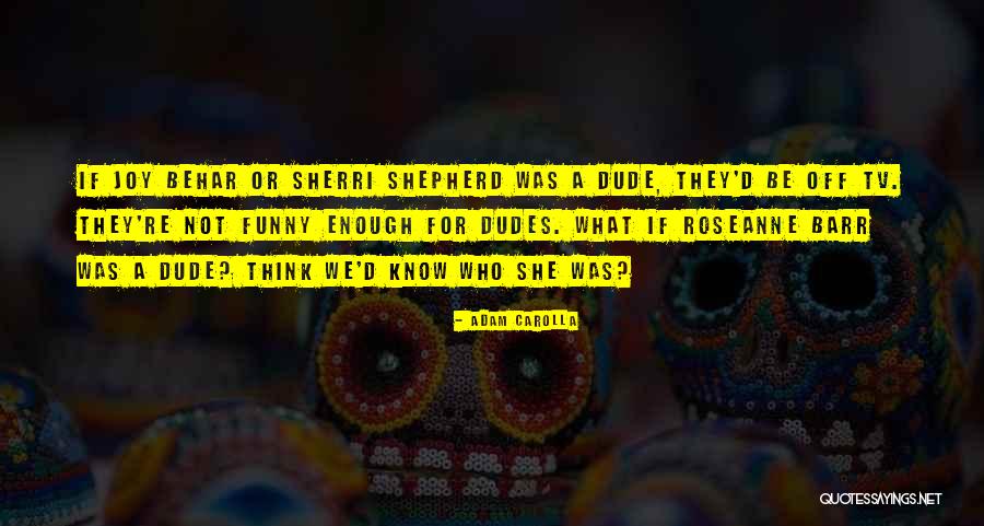 Funny Shepherd Quotes By Adam Carolla Funny Shepherd Quotes By Adam Carolla