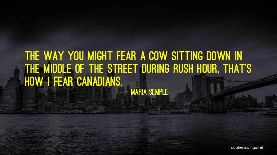Funny Sitting Down Quotes By Maria Semple Funny Sitting Down Quotes By Maria Semple