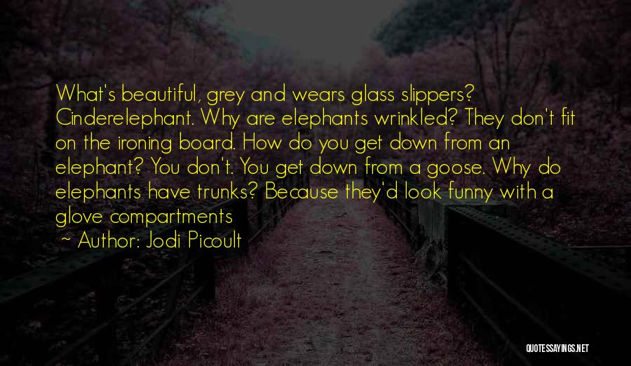 Funny Slippers Quotes By Jodi Picoult