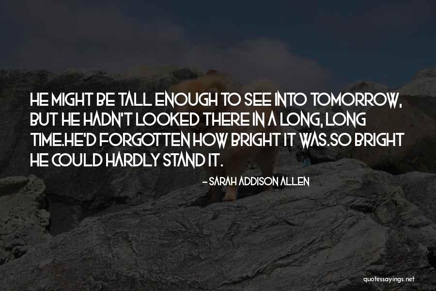 Funny Software Tester Quotes By Sarah Addison Allen Funny Software Tester Quotes By Sarah Addison Allen
