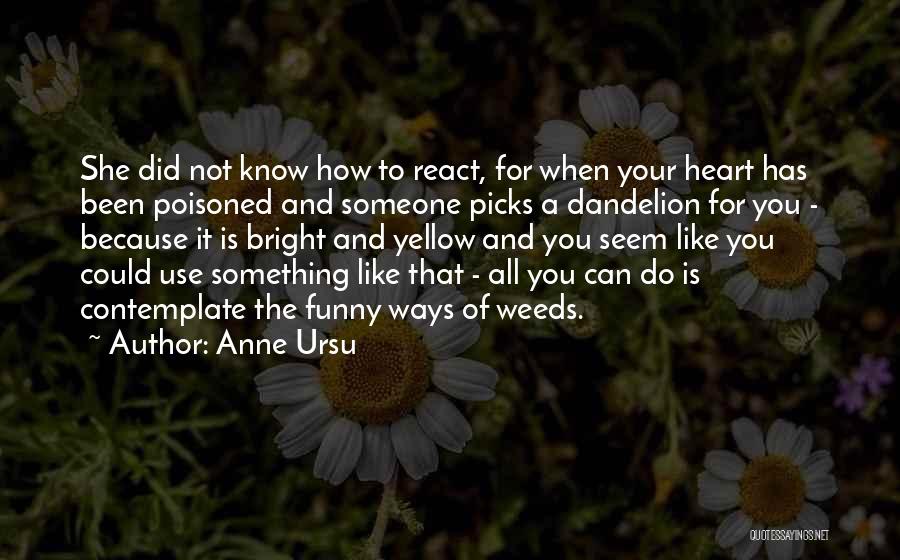 Funny Someone Like You Quotes By Anne Ursu