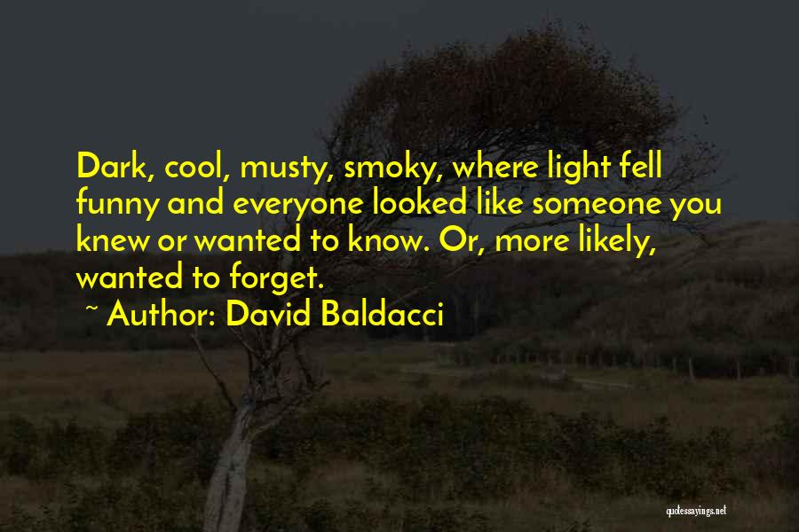 Funny Someone Like You Quotes By David Baldacci