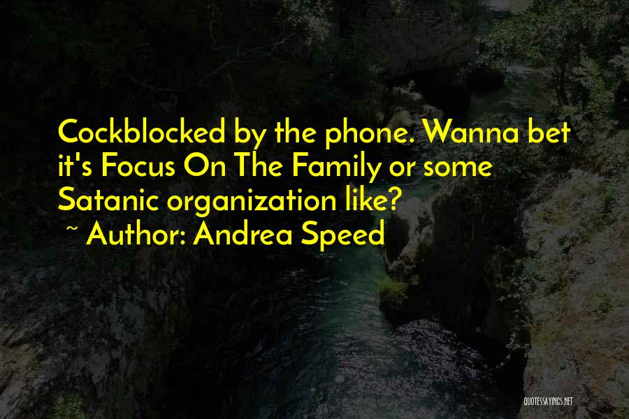 Funny Speed Quotes By Andrea Speed