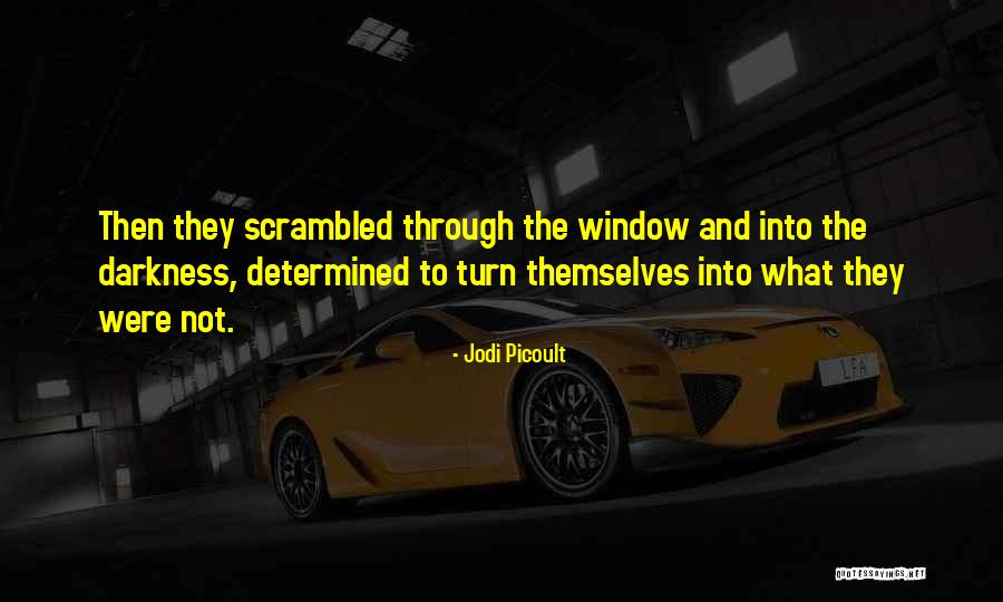 Funny Stairmaster Quotes By Jodi Picoult Funny Stairmaster Quotes By Jodi Picoult